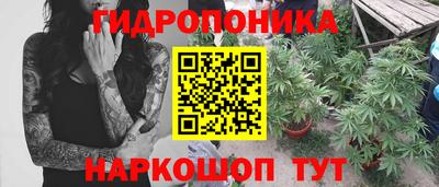 индика Моздок