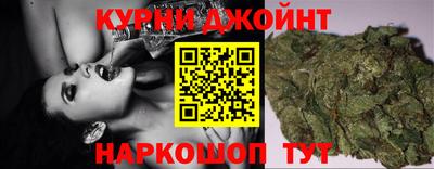 индика Моздок