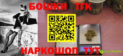 индика Моздок